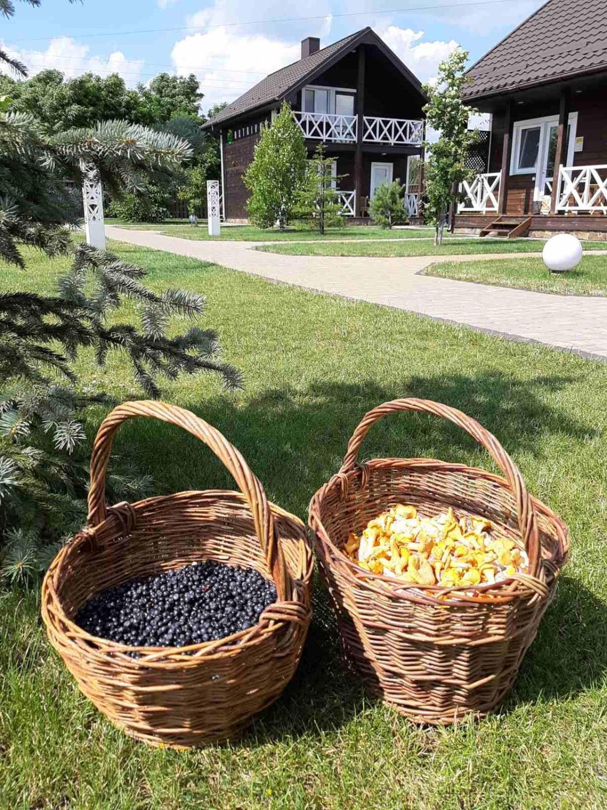 Ostrivky Hotel Свитяз Екстериор снимка